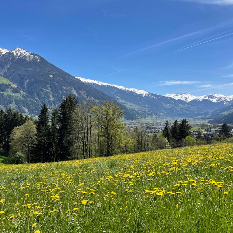 Mountain Penthouse Top 8 & 9 - Appartement 3 Chambres - 25