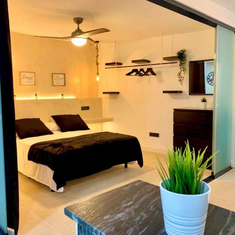 Apartamento Las Gaviotas 9B - Apartamento - Planta baja - 16