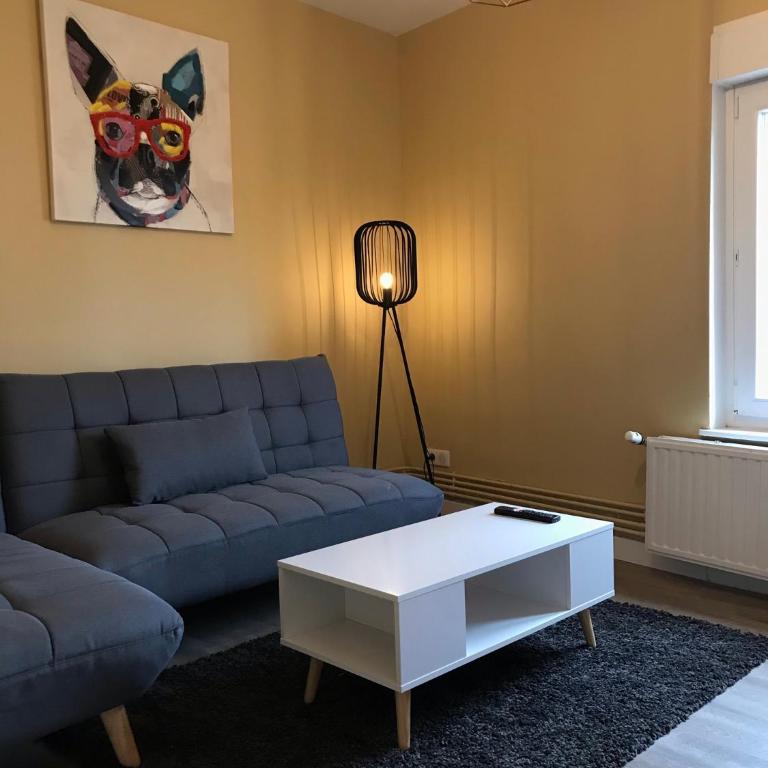 Confort - Nancy Centre - Chambre - Salle de sport - 45 m2 - Appartement 1 Chambre - 1