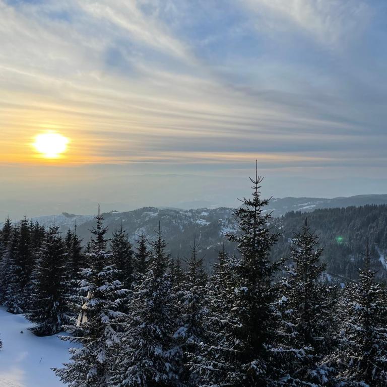 Zlatna Kruna - Lux Apartments Kopaonik - Apartment with Mountain View - 22