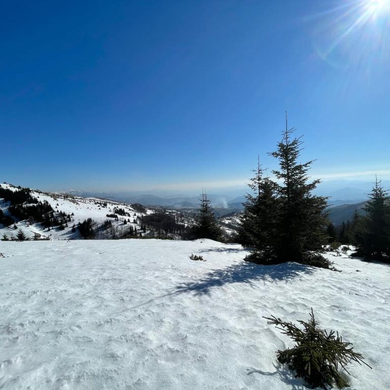 Zlatna Kruna - Lux Apartments Kopaonik - Apartment with Mountain View - 21