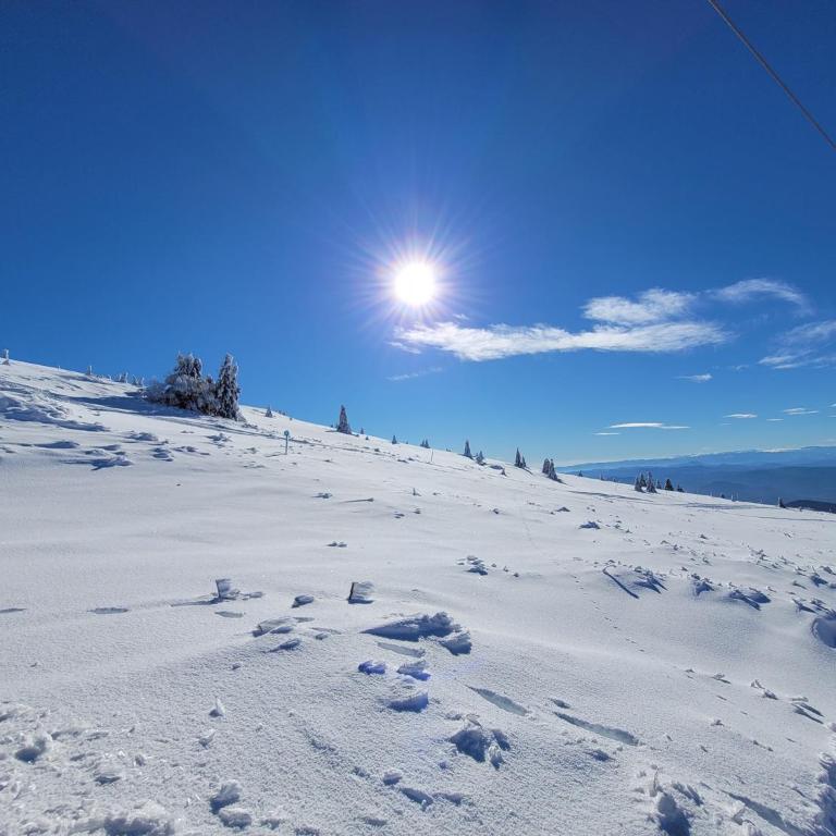 Zlatna Kruna - Lux Apartments Kopaonik - Apartment with Mountain View - 19