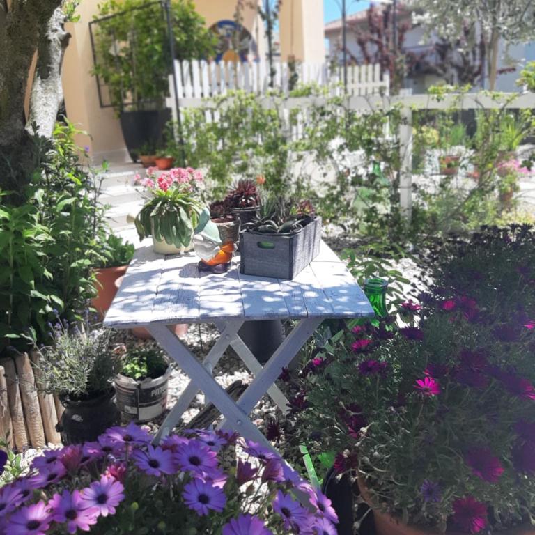 Villa Marianna Garda Lake - One-Bedroom Apartment - 11