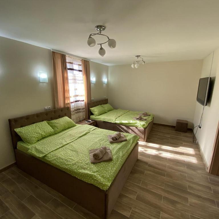 Apartments Zlatko - Deluks Suite sa Spa Kadom - 14