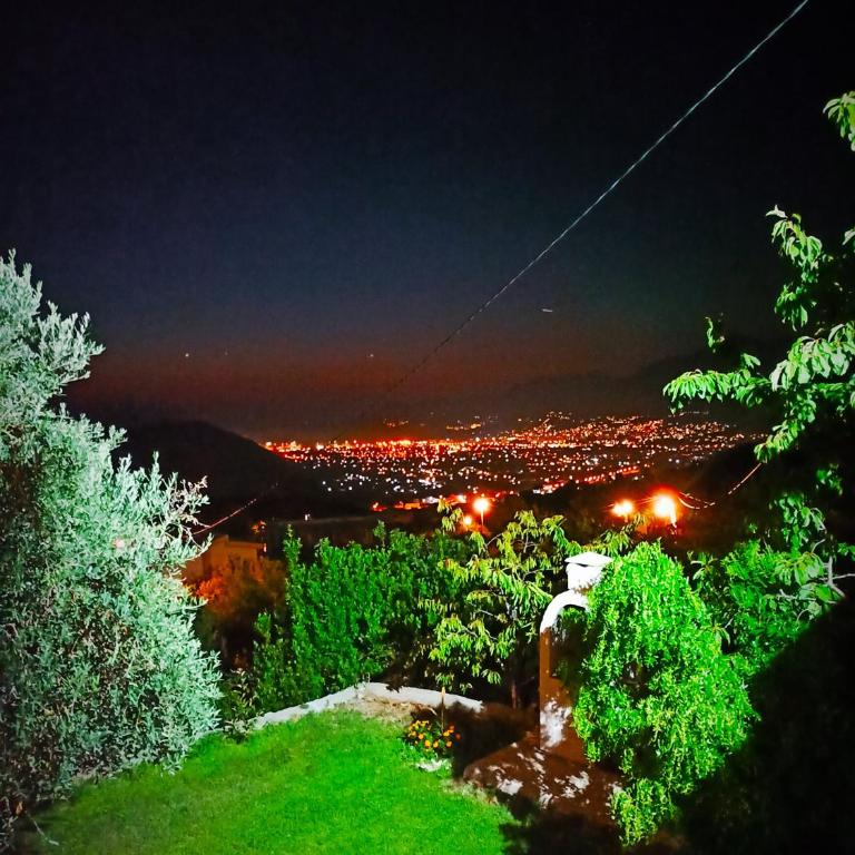 Zelena Maslina - Villa with Private Pool - 5
