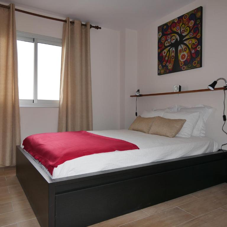 Petite Maison, La Laguna - Apartamento de 1 dormitorio - 5