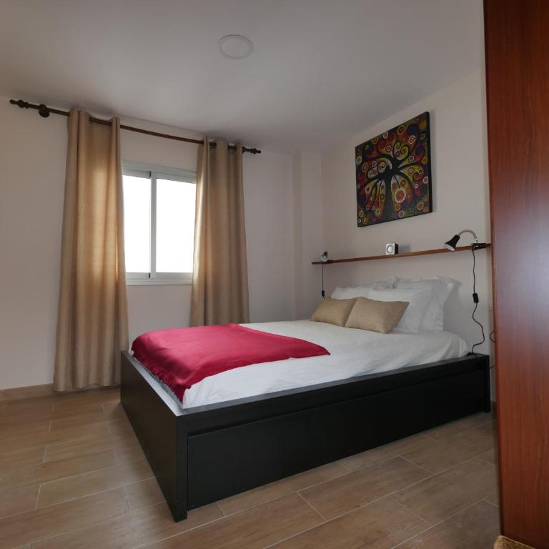 Petite Maison, La Laguna - Apartamento de 1 dormitorio - 15