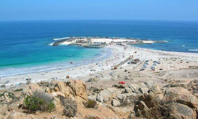 BONITO DEPARTAMENTO A METROS DE AVENIDA DEL MAR - Apartamento de 2 dormitorios - 20