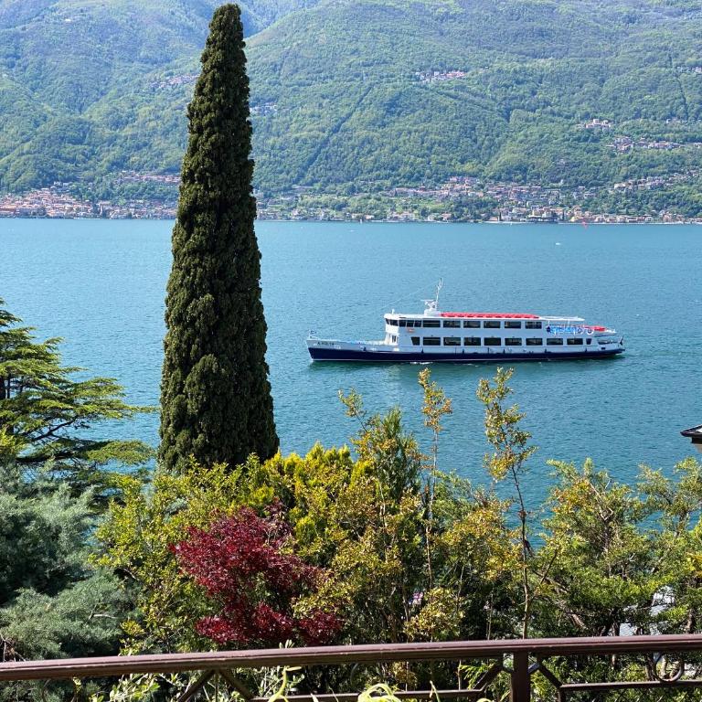 Suitecastlelakeview 0 - Casa con 1 Camera da Letto - 17