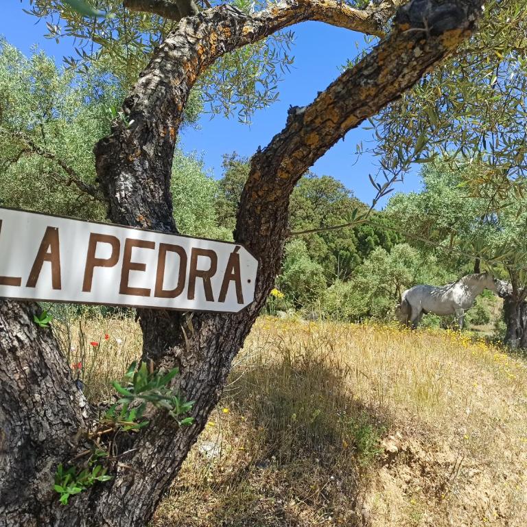 Casa Rural La Pedra - Casa Unifamiliar de 3 dormitorios - 43