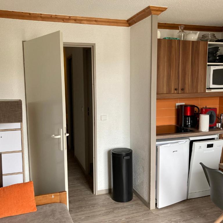 Appartement dans Residence 4* les Bergers- Alpe d'Huez - Appartement 1 Chambre - 3
