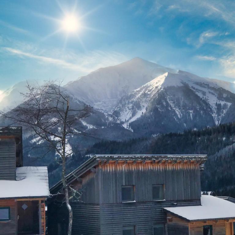 Ferienhaus Sternwarte - Chalet - 67
