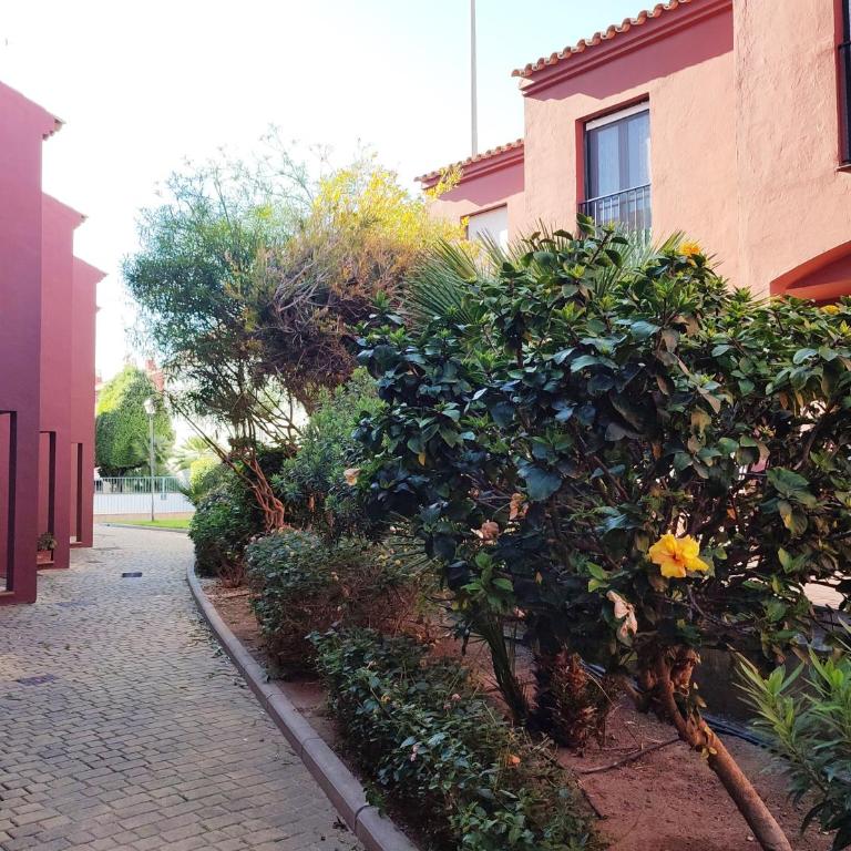 ALDEA DEL COTO - Apartamento de 2 dormitorios - 11