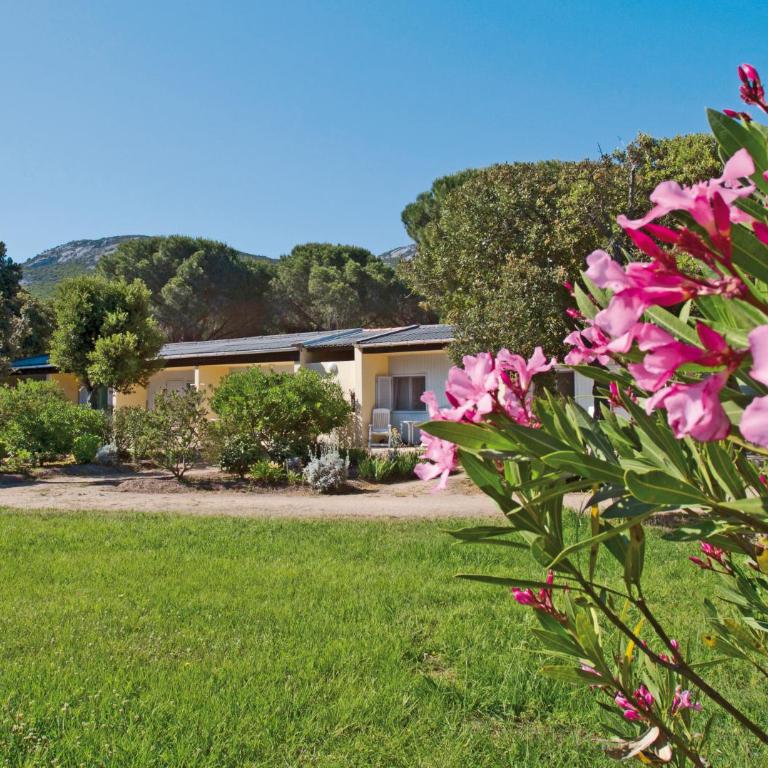 Feriendorf zum störrischen Esel - Bungalow 1 Chambre - 5