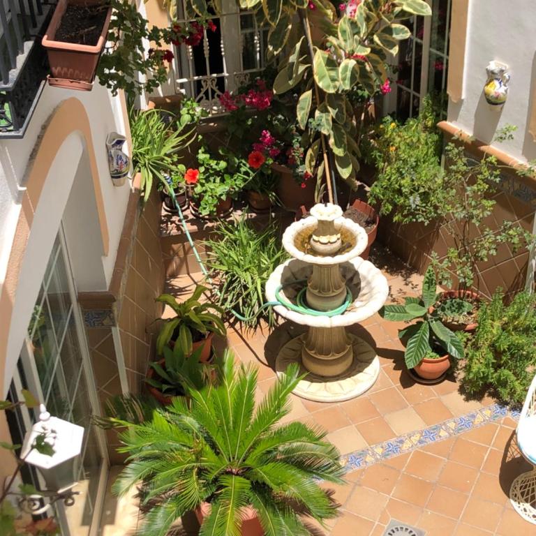 Apartamentos Casanova - Estudio (1 adulto) - 10