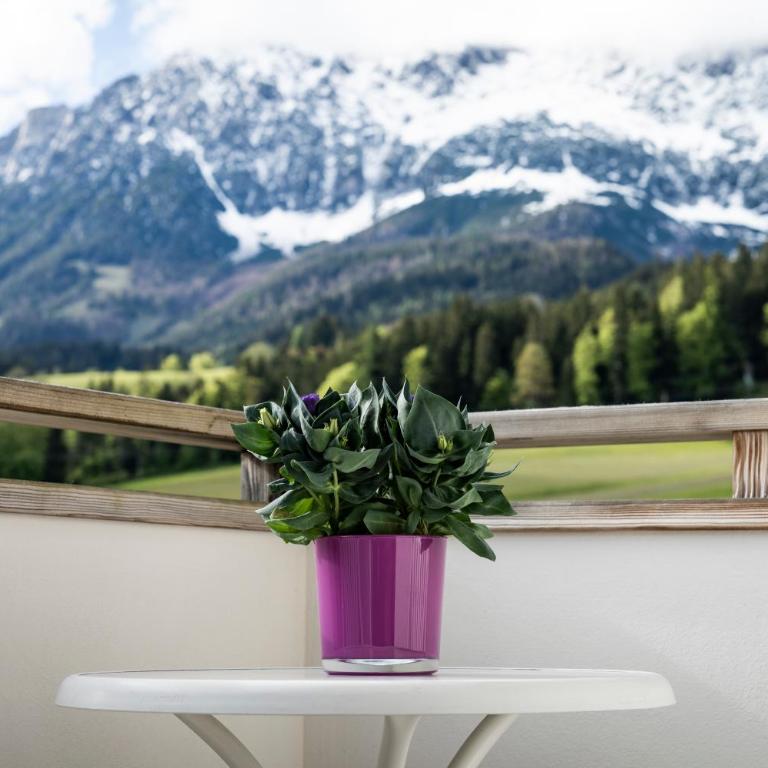 Landhotel Föhrenhof Ellmau - Junior Suite mit Bergblick - 11