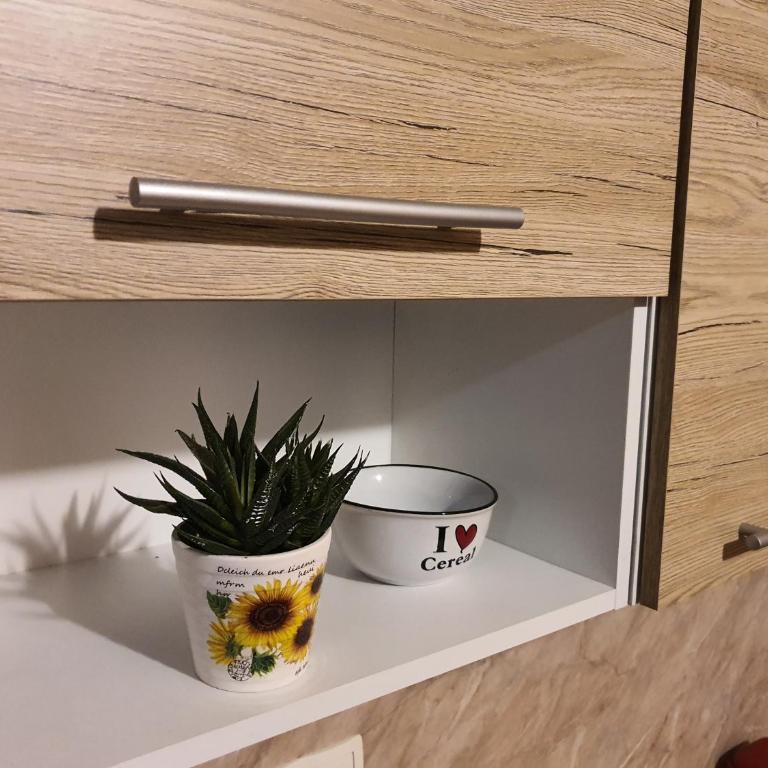 Apartment Neo - Three-Bedroom Apartment with Terrace - 9