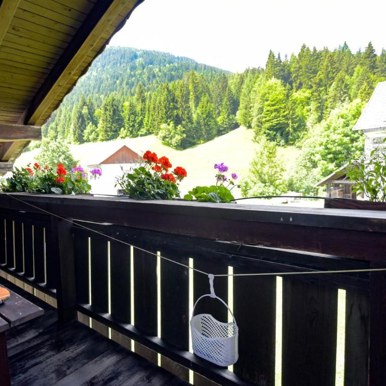 Gailerhof - Apartment mit Blick auf die Berge - 9