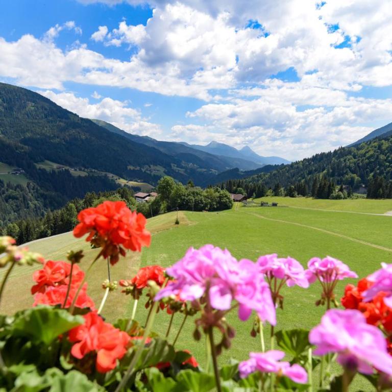 Gailerhof - Studio mit Bergblick - 10
