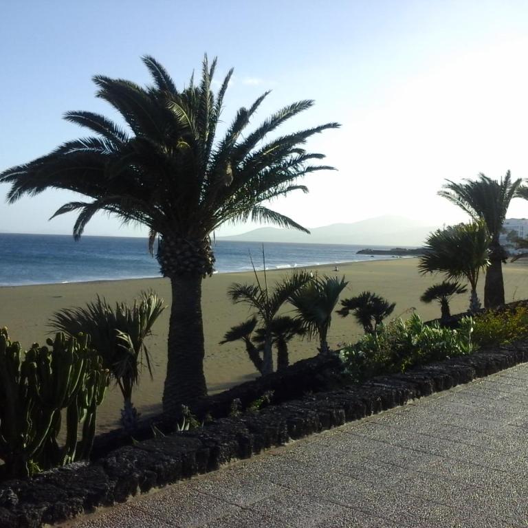 APARTAMENTO PRIMERA LINEA PLAYA - Apartamento de 1 dormitorio - 25