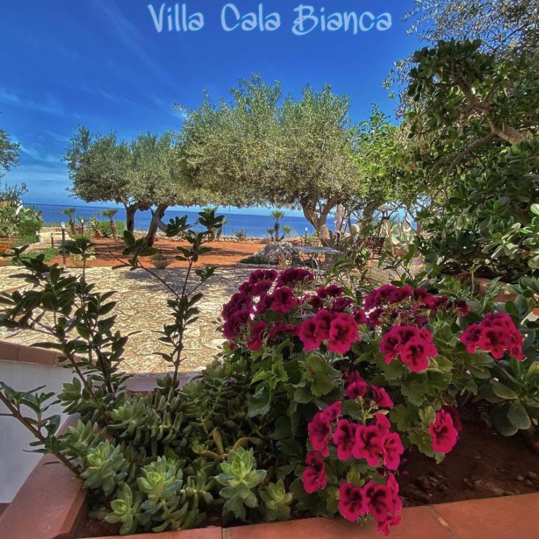 Villa Cala Bianca - Villa with Sea View - 8