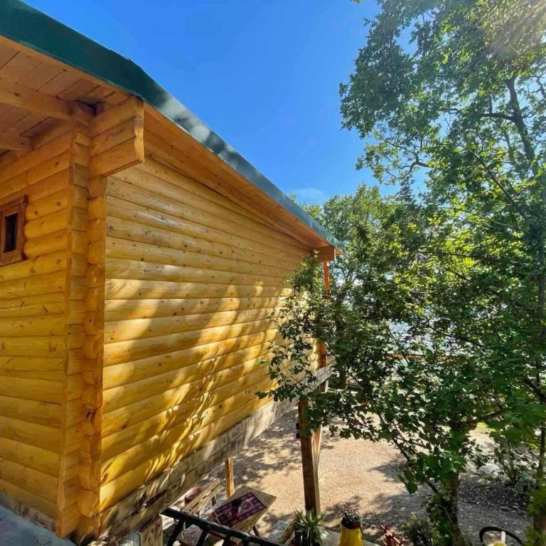 Ranc Mujica - One-Bedroom Apartment - 32