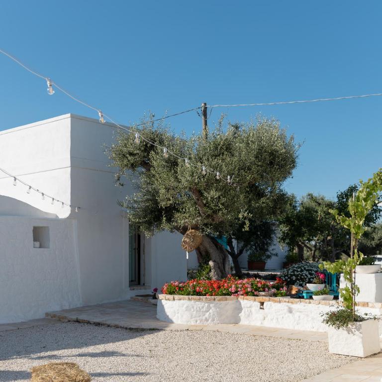 Petranima Wellness in Trulli - Camera Quadrupla Standard - 3