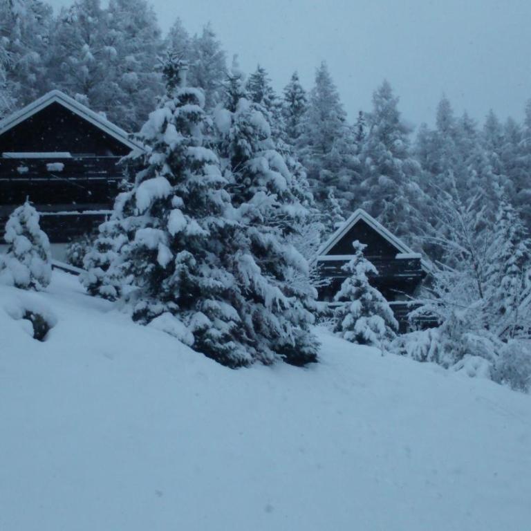chalet la colline - Chalet 3 Chambres - 2