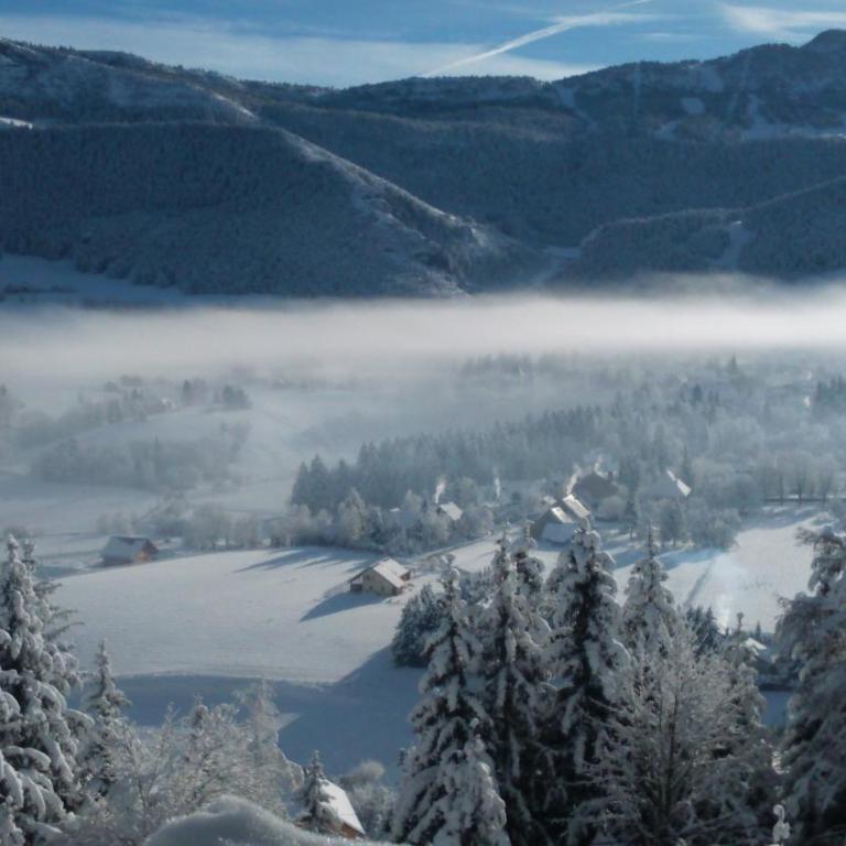 chalet la colline - Chalet 3 Chambres - 19