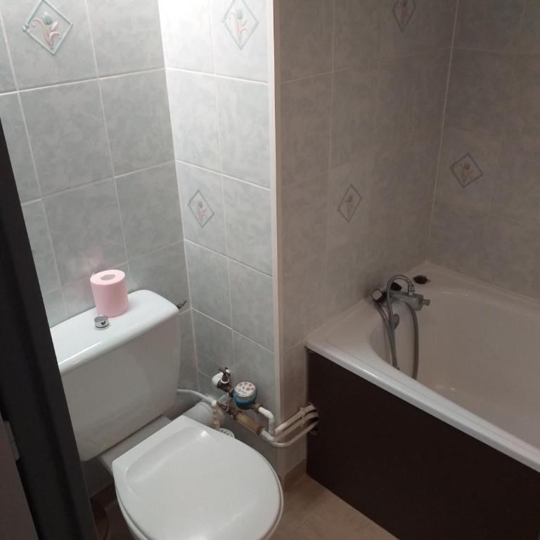 Appartement 4 personnes - La Voile - Pendine 2 - Puy Saint Vincent 1600 - One-Bedroom Apartment - 9