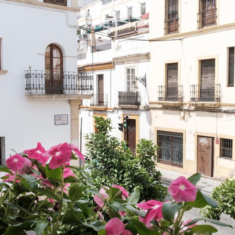 Alfaros - Three-Bedroom Apartment - 16