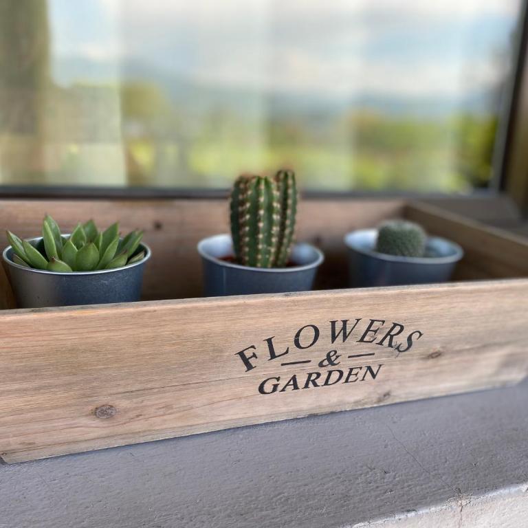 Flowers & garden apartment con vista lago - Casa con 2 Camere da Letto - 43