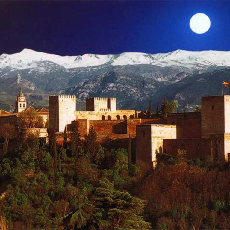 Casa Alhambra - Centro Histórico con Jardín Privado - Apartment - 66