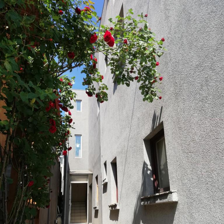 Nest - Apartment - 54