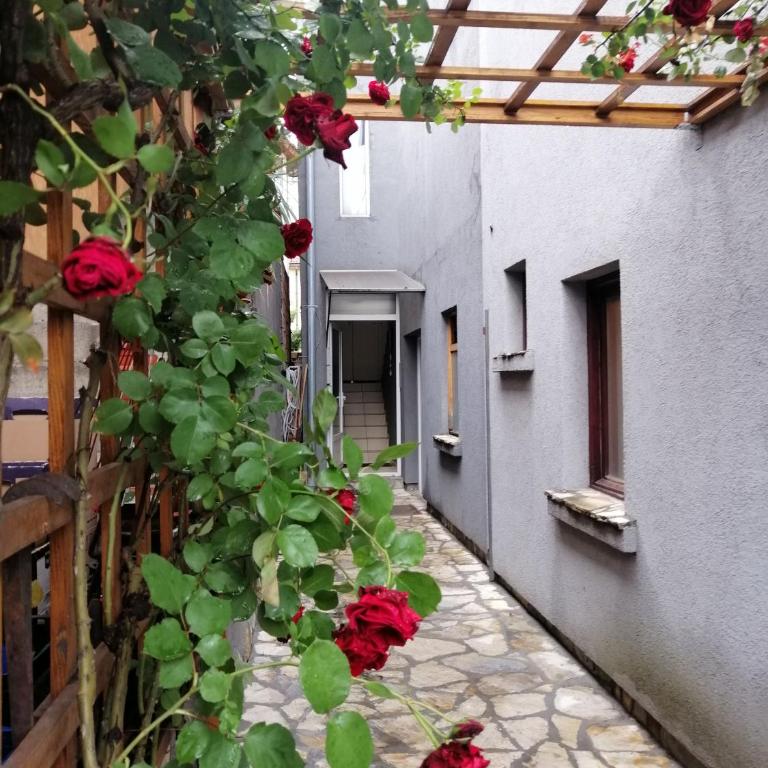 Nest - Apartment - 53