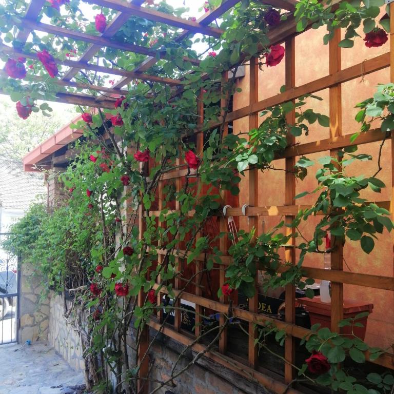 Nest - Apartment - 52