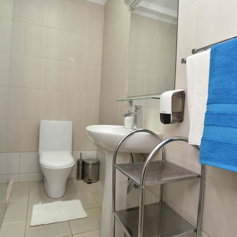 Victoria Center Apartments - One-Bedroom Apartment with Terrace and City View - 19
