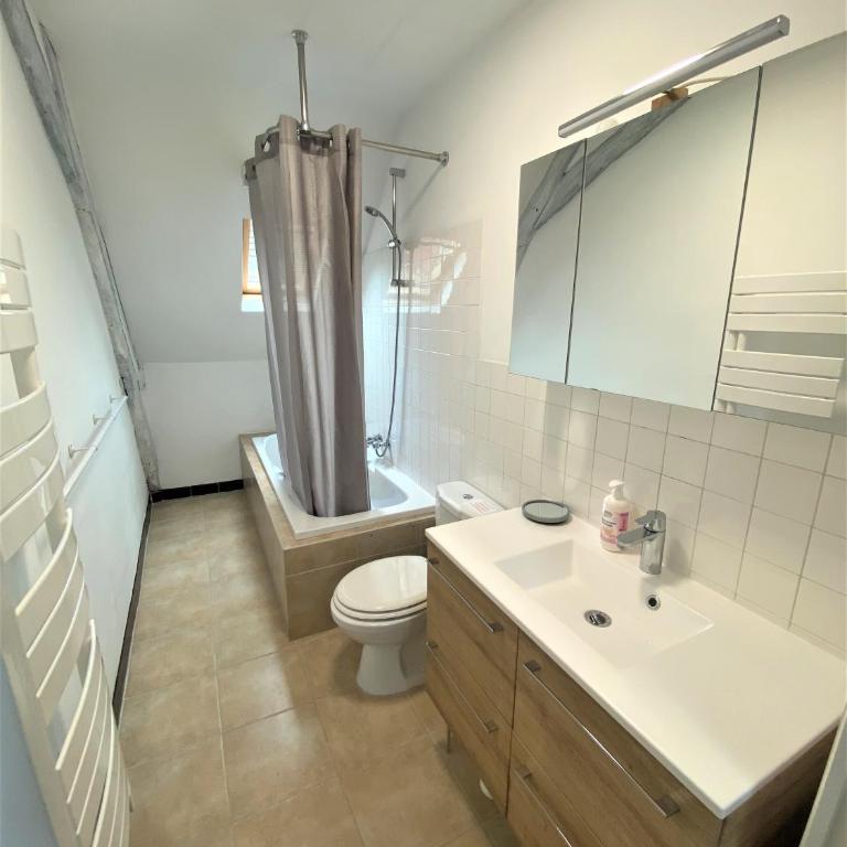 LE CHANT DES OISEAUX, 3Km du Zoo de Beauval, Parking gratuit ,WIFI et NETFLIX gratuits - Haus mit 3 Schlafzimmern - 17
