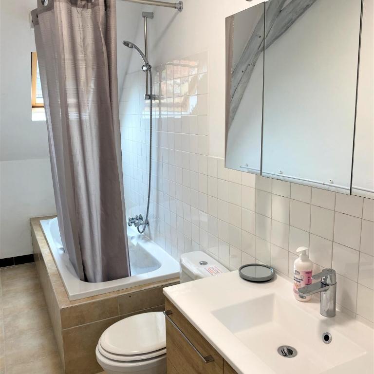 LE CHANT DES OISEAUX, 3Km du Zoo de Beauval, Parking gratuit ,WIFI et NETFLIX gratuits - Haus mit 3 Schlafzimmern - 16