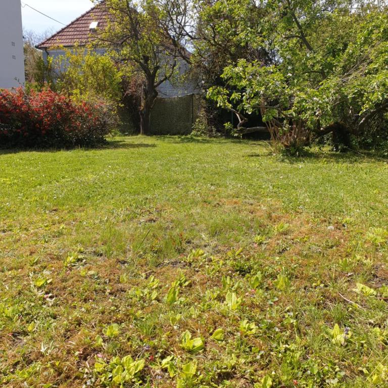 FAMILY APARTMENT LINZ Wohnen mit Garten am Fusse des Pöstlingbergs TOP LAGE Villenviertel - Apartment - Erdgeschoss - 58