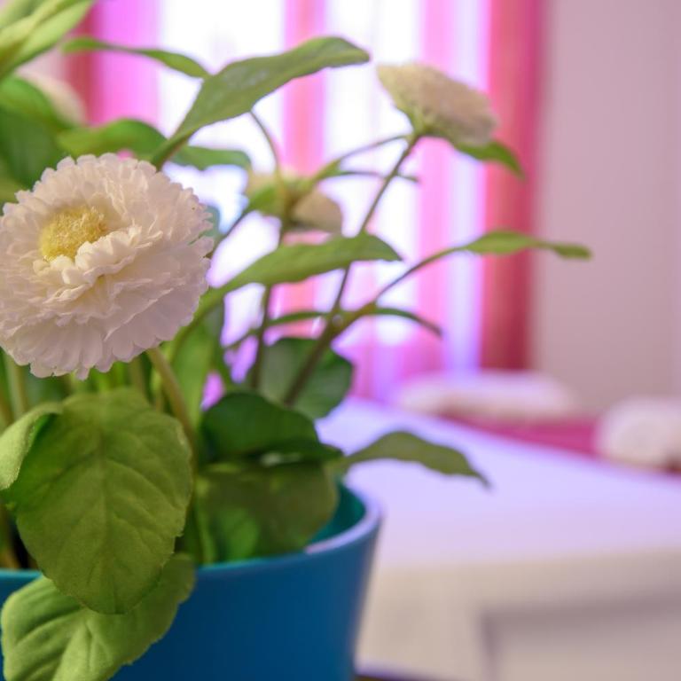HouseStation - Appartamento con Balcone - 4