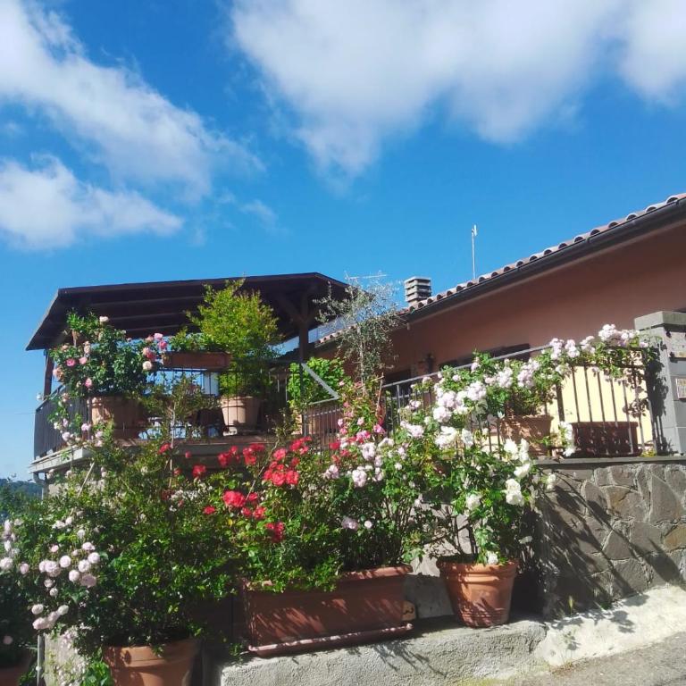 La Fenice - Apartamento de 3 dormitorios - 85