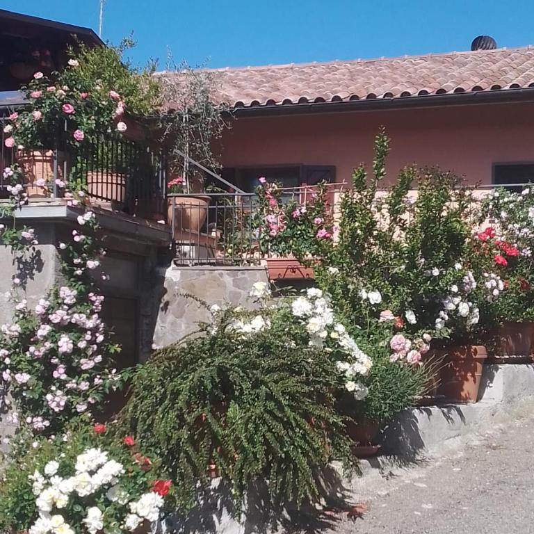 La Fenice - Apartamento de 3 dormitorios - 84