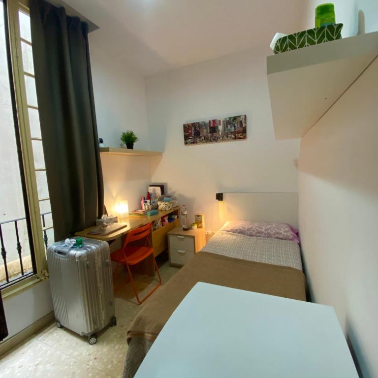 Barcelona Housing recommend for Students - Large Single Room - 4