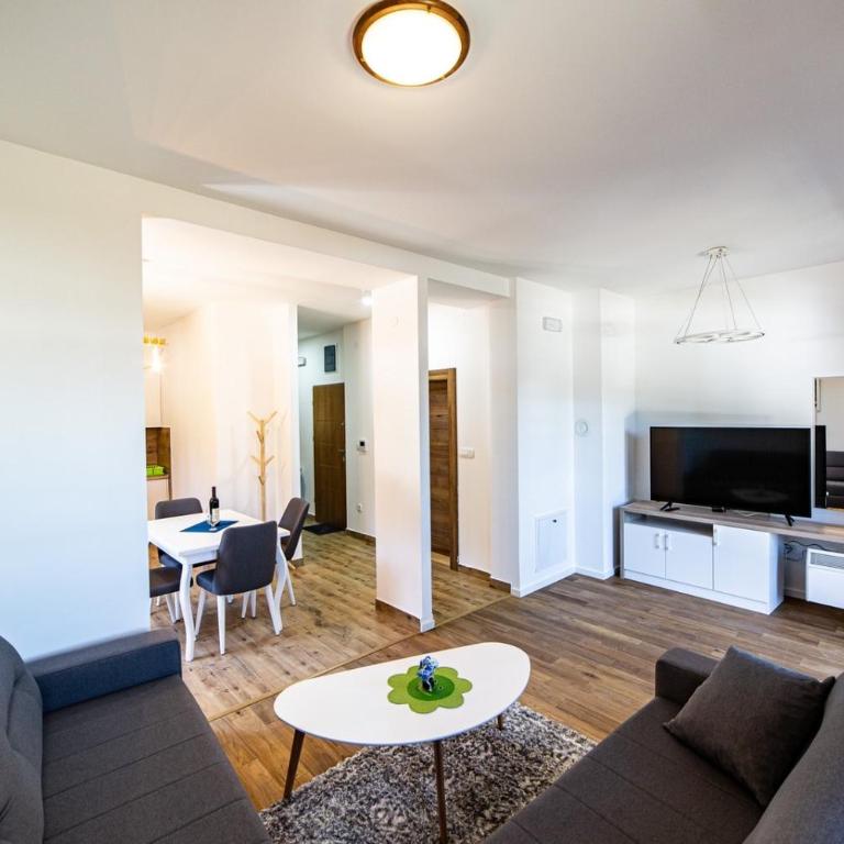 turisticki apartmani “Kraljeva stolica” - One-Bedroom Apartment - 25