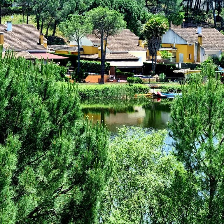 Mirador del Lago - Mirador 2 - 1