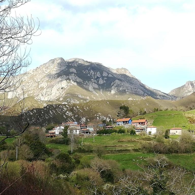 Asturias Retreats Apartamentos rurales con encanto y vistas a la montaña entre Cangas de Onís y Ribadesella - Apartamento con vistas a las montañas - 11