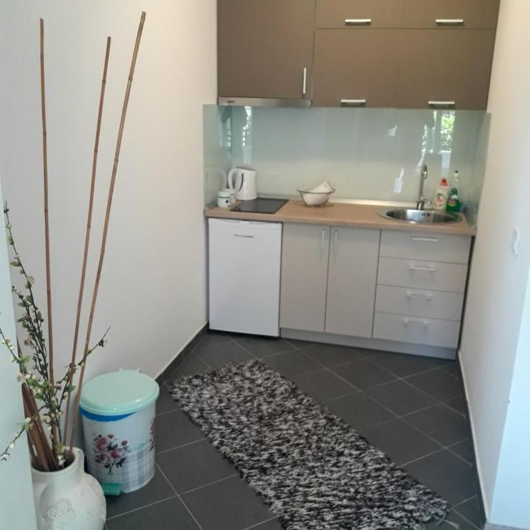 Apartments Stojanovic - Studio Apartman - 26