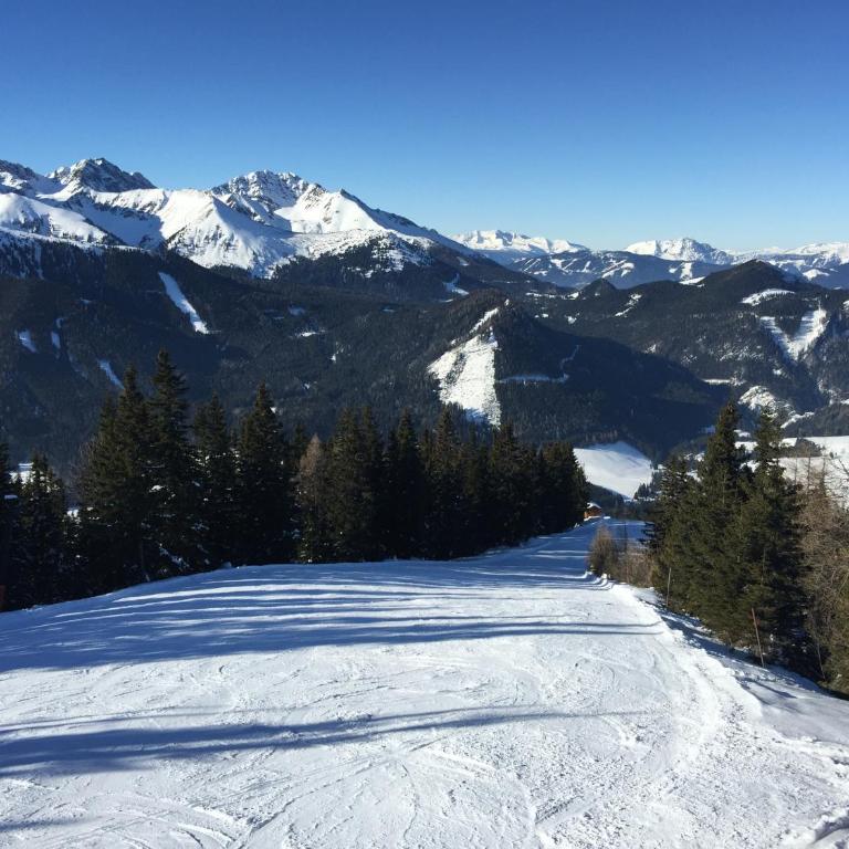 Auszeit-Hohentauern - Chalet - 20