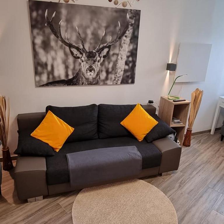 APARTMENT WALD - im Skigebiet Gerlitzen & Ossiacher See - Apartment - Erdgeschoss - 1
